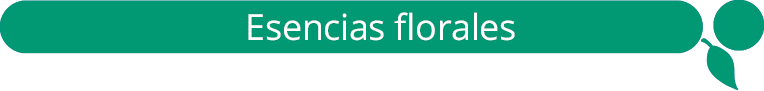 esencia-floral-consulta-psicologia-sistemica