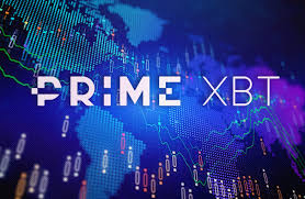 How Many PrimeXBT Users Are There Insights into the Growing Community How Many PrimeXBT Users Are There Insights into the Growing Community