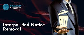 Understanding Legal Protections Against Interpol Errors 382075282 Understanding Legal Protections Against Interpol Errors 382075282